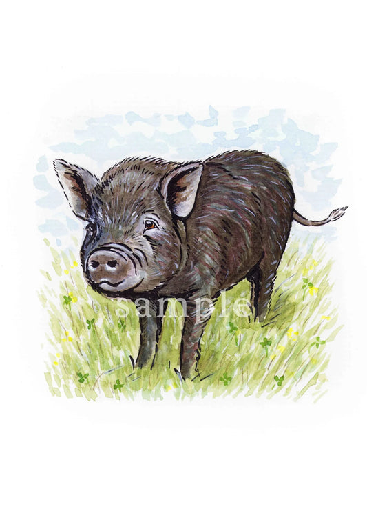 Montgomery Pig