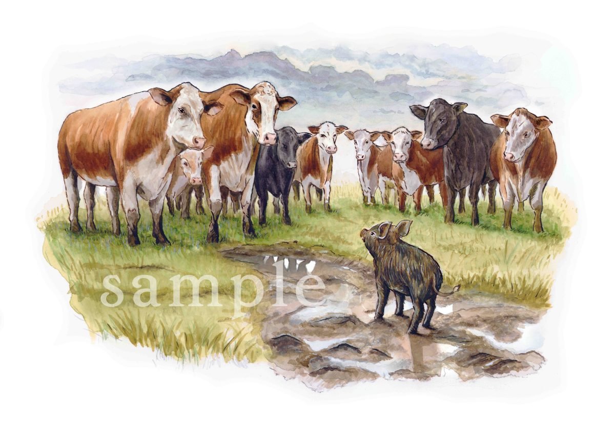 Monty and the Cows - A4 Print