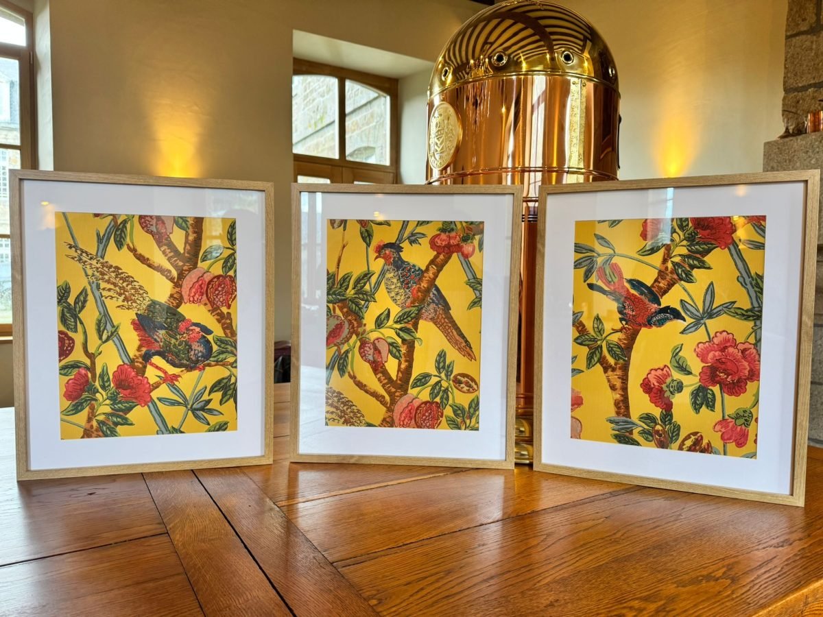 Birds of Paradise Full Collection