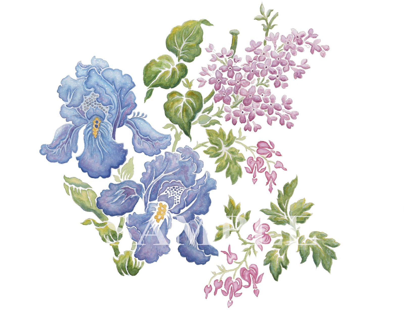 Florence May Watercolour - A3 Print