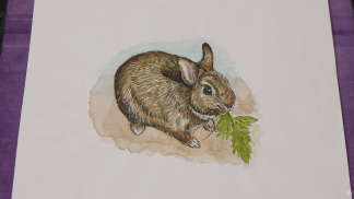 Bertram Bunny - Original Painting